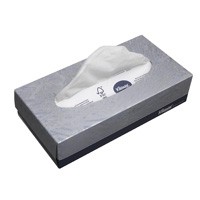 Kleenex Kosmetiktücher Standard-Box 21 Packungen a 100 Tücher,2-lg. weiß 21,5x18,5cm